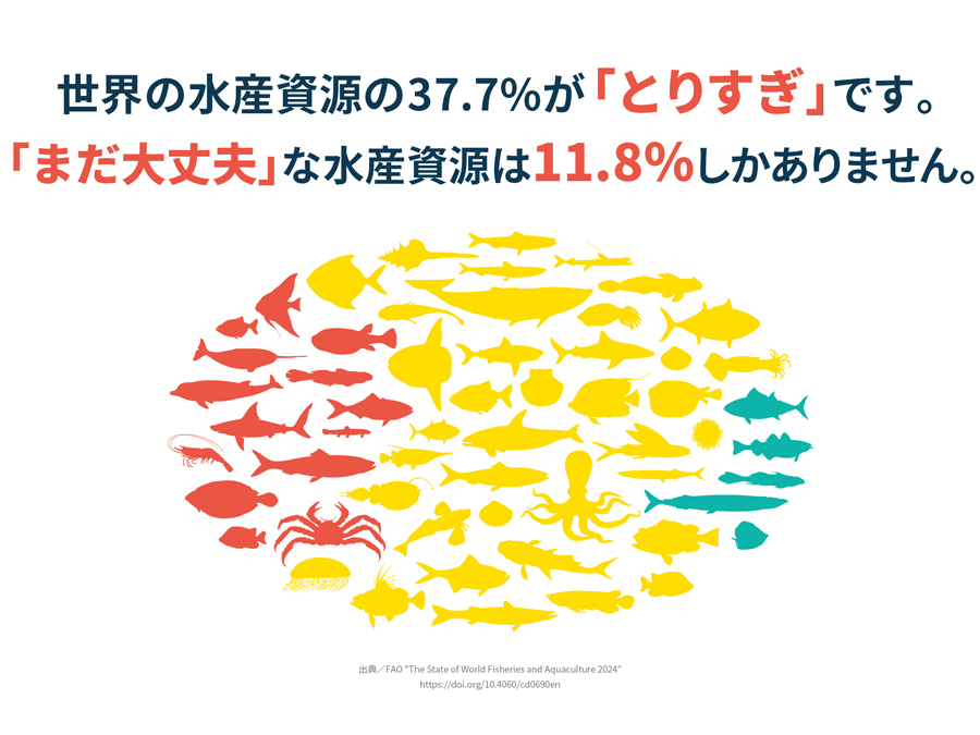 国連食糧農業機関（FAO）の『世界漁業・養殖業白書』によると、世界の漁業の35％が持続可能な水準を超えて漁獲されています。