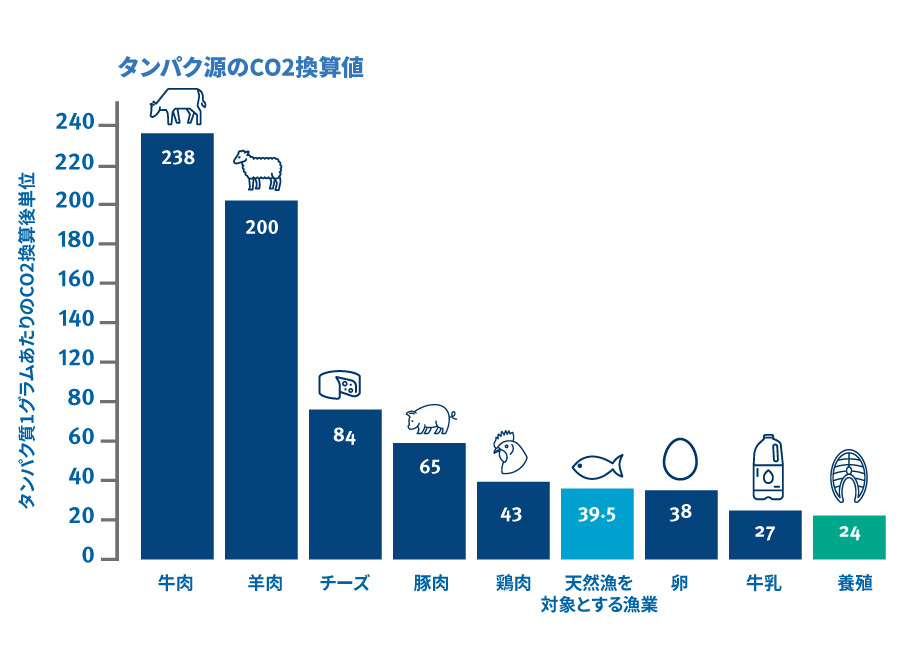 タンパク源のCO2換算値(タンパク質1グラムあたりのCO2換算後単位)