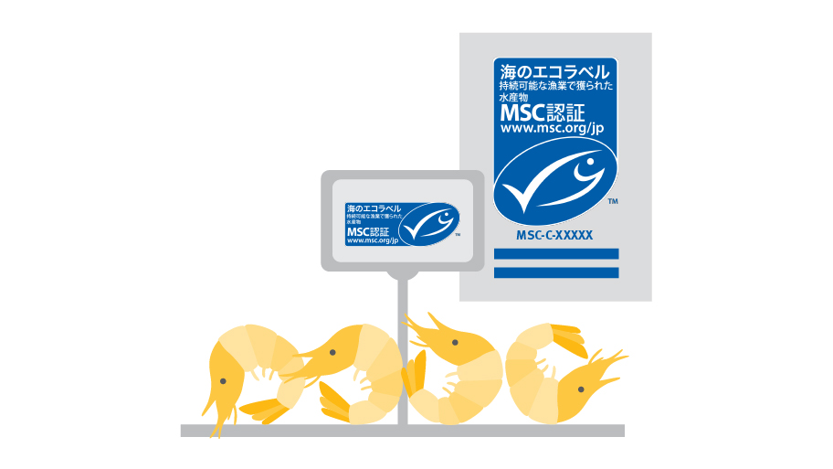 鮮魚売り場での使用 その2（MSCエコラベルユーザーガイド）