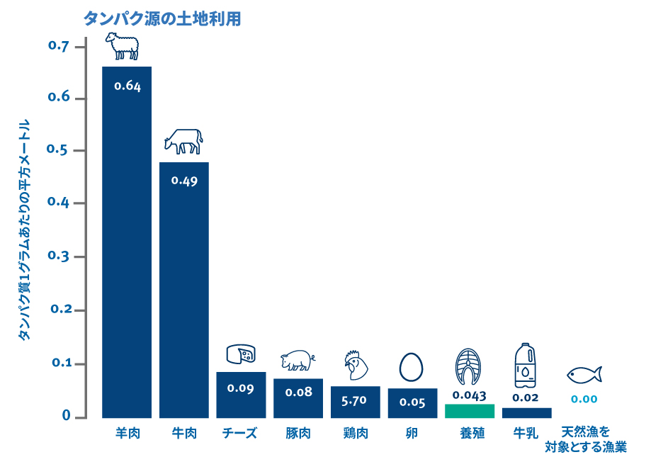 タンパク源の土地利用(タンパク質1gあたりの平方メートル)