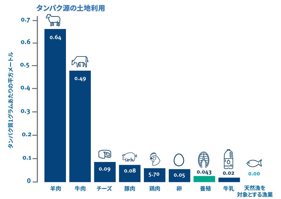 タンパク源の土地利用(タンパク質1gあたりの平方メートル)