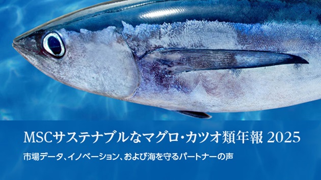 マグロ・カツオ類 | Marine Stewardship Council