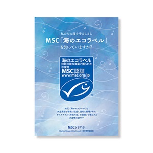 MSCがわかるリーフレット