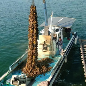 マルト水産株式会社