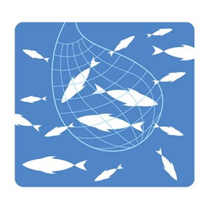 ルール1:魚をとりすぎないようにする
