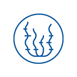 ASC-MSC 海藻(藻類)基準