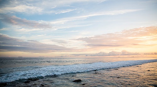 プレスリリース