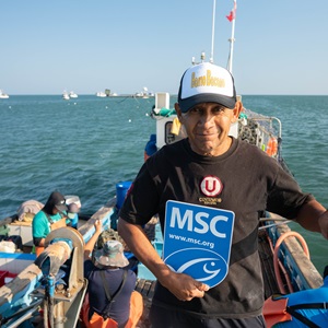 Estándares del MSC