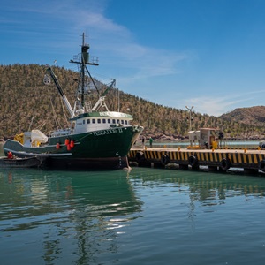 MSC en América Latina