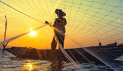 MSC 연간보고서(2023-24)