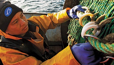 How fisheries improve