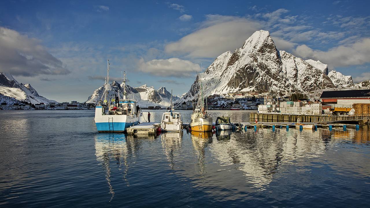 Cod fishing boats docked in Lofoten, Norway 