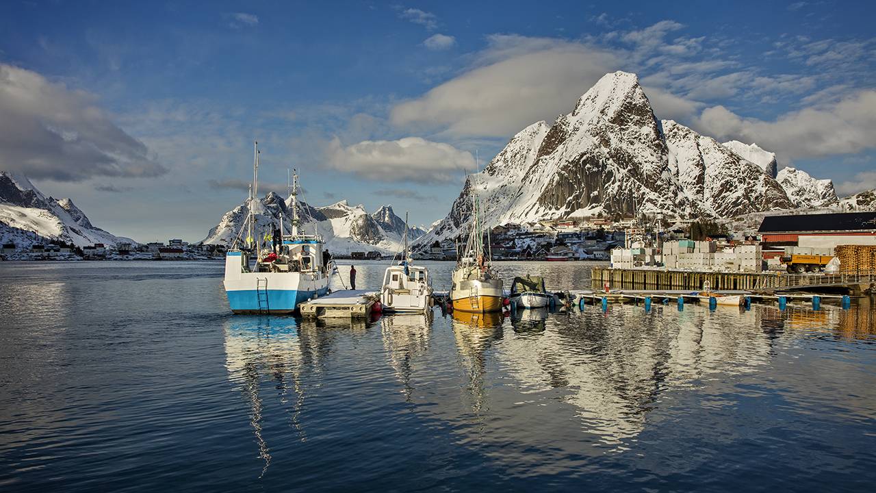 Cod fishing boats docked in Lofoten, Norway