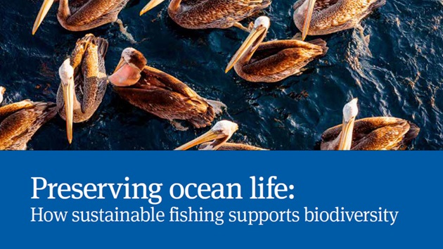 Preserving ocean life