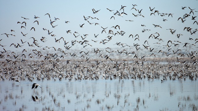 QUESTIONARIO AGLI STAKEHOLDER