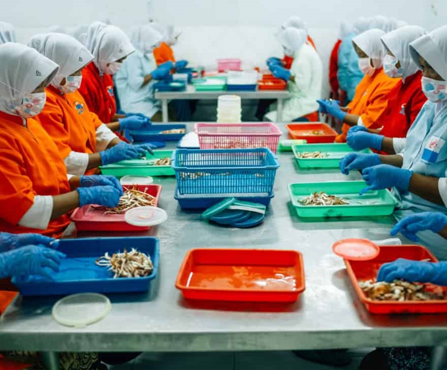 ⮞ 33.6 milliona osób...