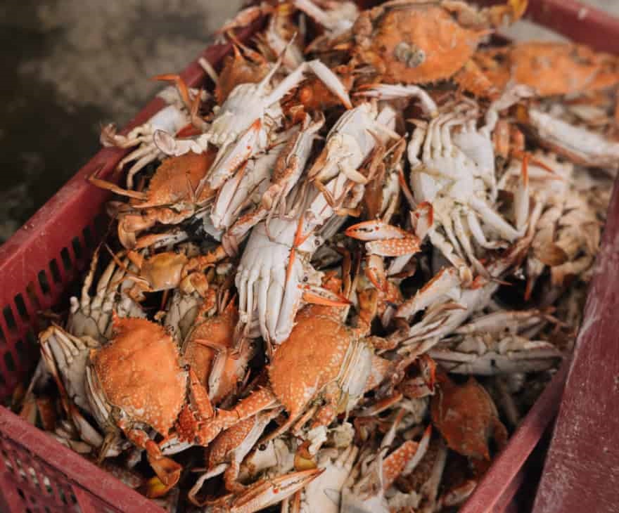 ⮞ 195 miliardów dolarów amerykańskich…