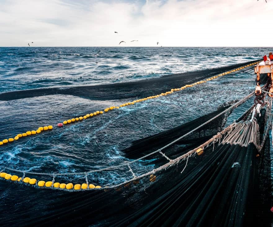 ⮞ 79.7 milionów ton...