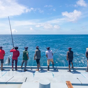 Maldives skipjack tuna