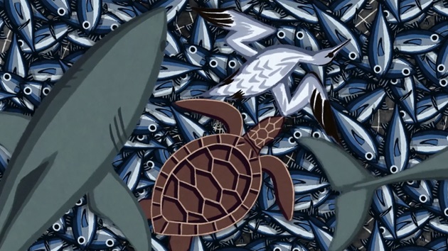 Fishing & protecting the marine environment