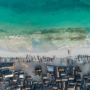 Will our oceans be fixed by 2050?