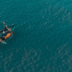 Argentinsk fiskeri efter røde rejer opnår MSC-certificering efter ti års forbedringer