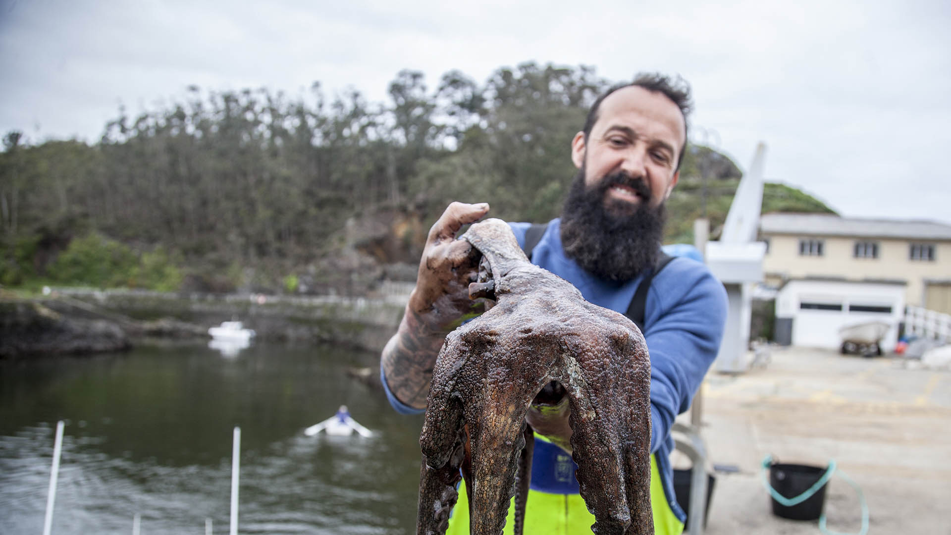 Biodiversität: Das bedeutet der UN-Bericht für nachhaltige Fischerei