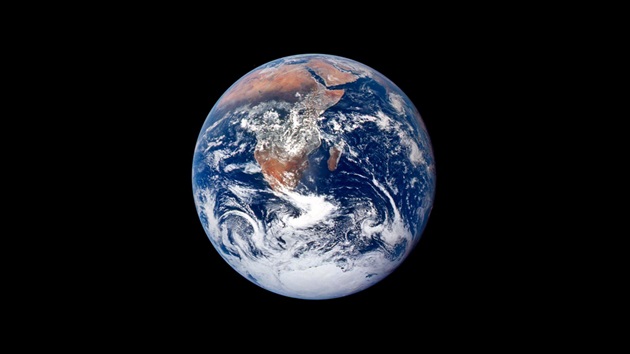 Morska bioróżnorodność i COP-15