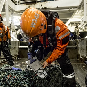 The MSC Fisheries Standard