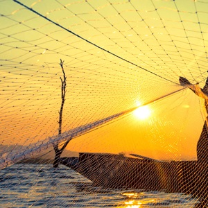 Ocean Stewardship Fund