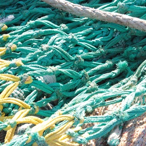 The MSC Peer Review College