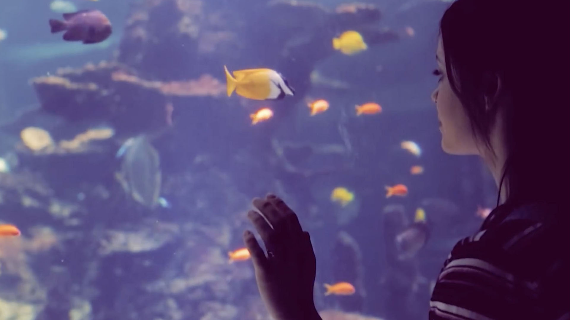 Close up of teenage girl's face looking at fish in aquarium