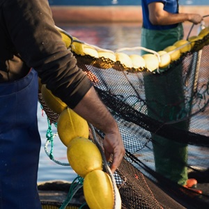 Le MSC lance une consultation de 60 jours sur les améliorations proposées à son Référentiel Pêcheries