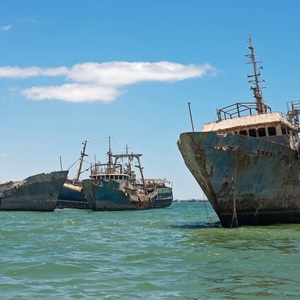 La pêche illicite, non réglementée et non déclarée (INN)