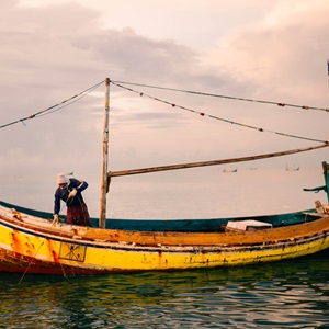 Safeguarding Indonesian blue swimming crab fisheries