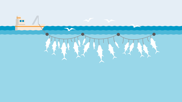 Fishing methods gear types