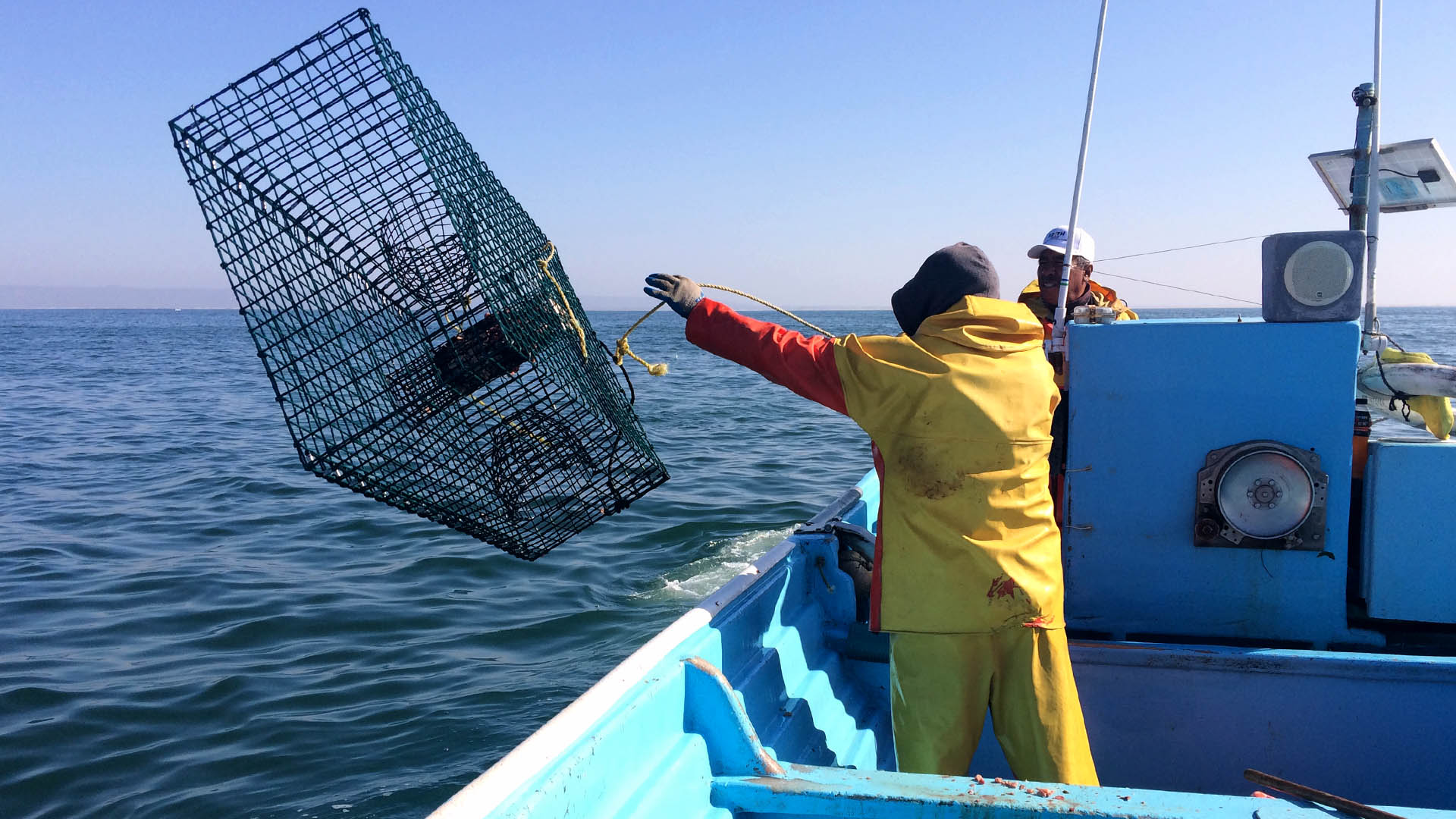 £500,000 GBP awarded to fishery improvements and research projects through the MSC’s Ocean Stewardship Fund