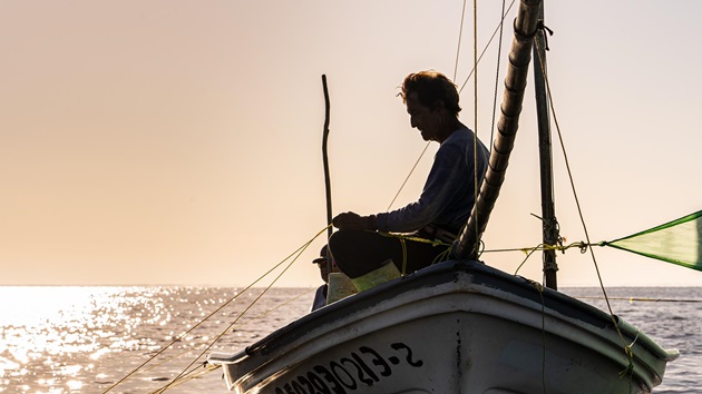 Les projets d'amélioration de Pêcheries