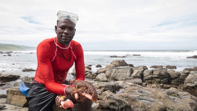 Transition Assistance Fund