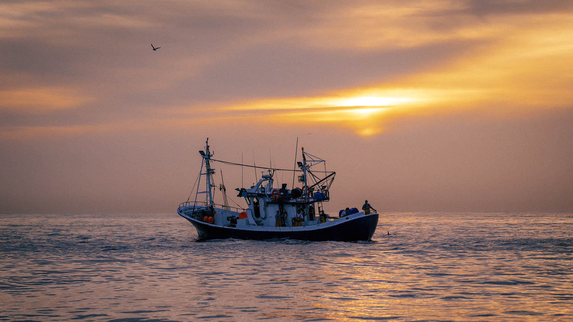 Six takeaways about the state of the world’s fisheries