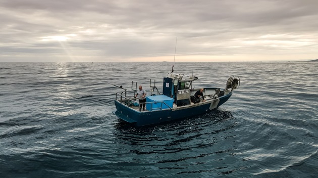 Conoce más del Ocean Stewardship Fund