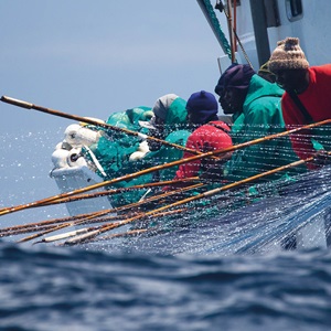 Sesión Programa MSC de Mejora