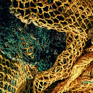 Revising the Evidence Requirements Framework