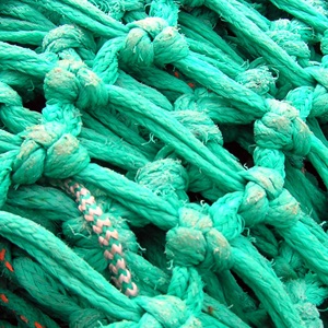 The MSC Fisheries Standard