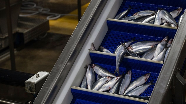 Etape 3 : La transformation