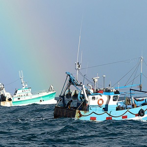 Revising the Fisheries Certification Process