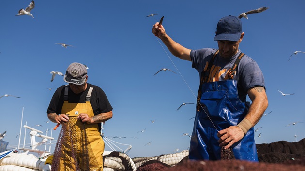 Progress and partnership in sustainable seafood
