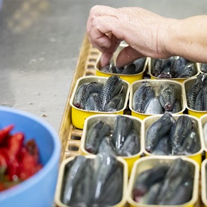 Traceability Enhancement Program