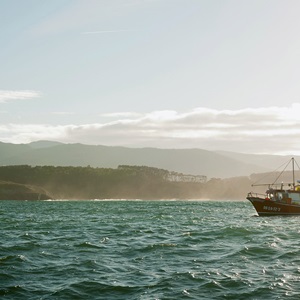 Revising the Risk-based Framework