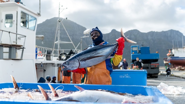 Informe Anual do Marine Stewardship Council 2024-25